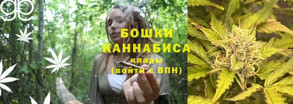 молекула духа Горнозаводск