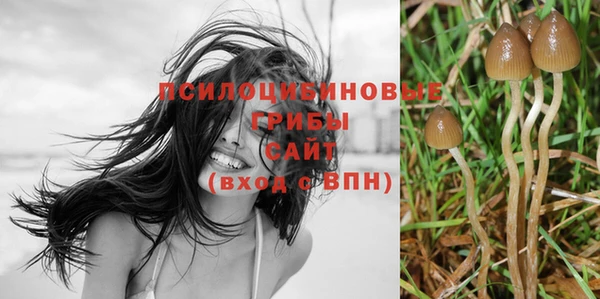ECSTASY Зеленокумск