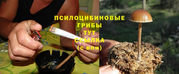 экстази Алексеевка