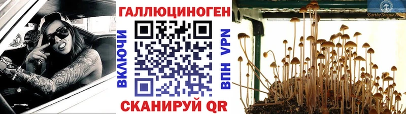 МЕГА зеркало  Юрьевец  Галлюциногенные грибы GOLDEN TEACHER  наркота 